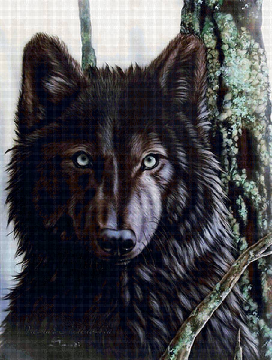 black wolf - wolf - предпросмотр