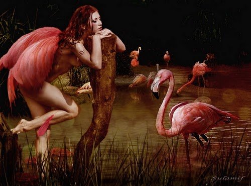 метаморфозы part 2 - оригинал