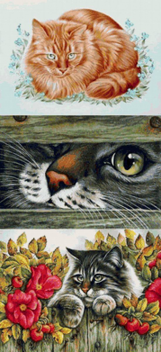 Котики - кошка, животные, кот - предпросмотр