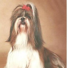 Схема вышивки «Anzlika»