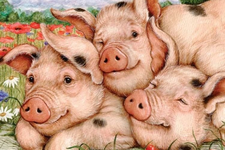 свинки - оригинал