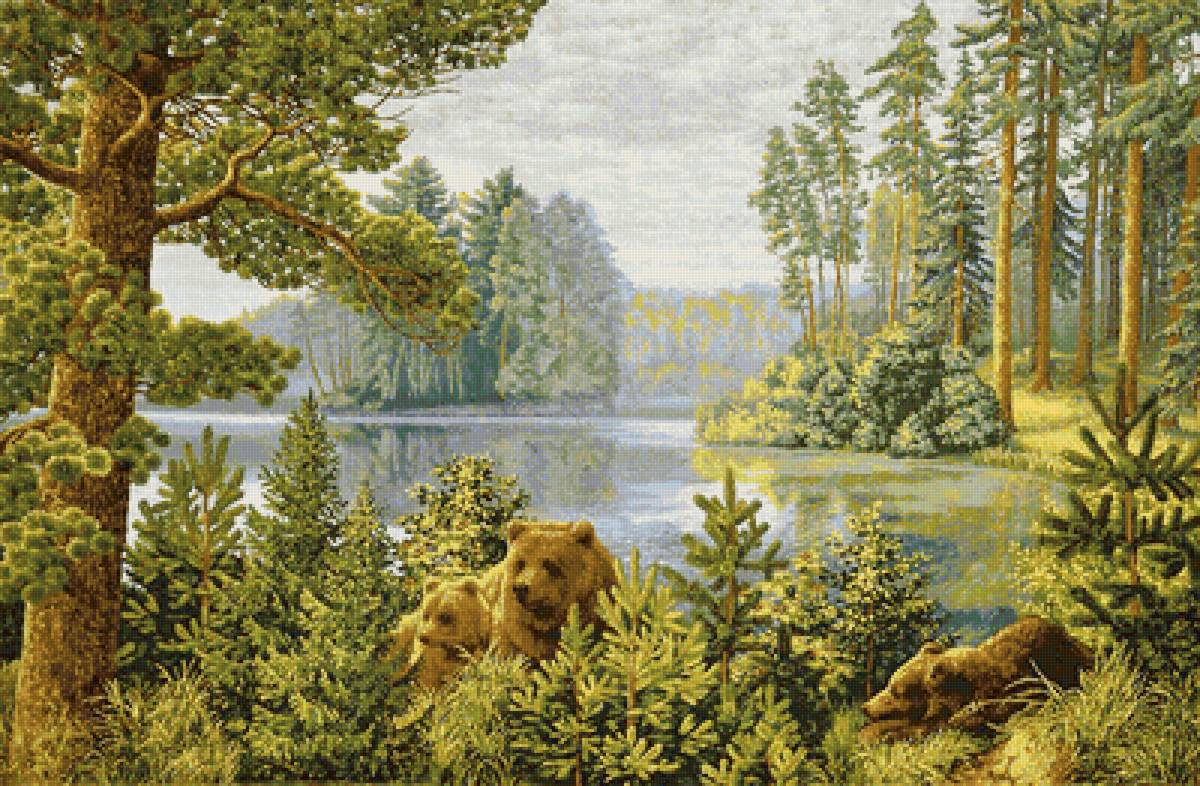 Три медведя - природа, лес, пейзаж, медведи, речка - предпросмотр
