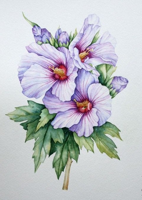 цветы - оригинал