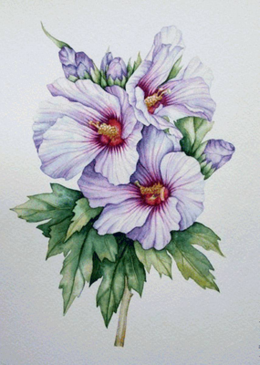 цветы - предпросмотр