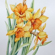 Схема вышивки «цветы»