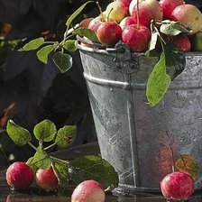 Оригинал схемы вышивки «яблочки» (№1833006)