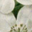 Предпросмотр схемы вышивки «цветы» (№1833013)