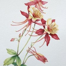 Схема вышивки «цветы»