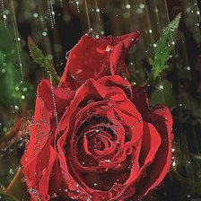 Схема вышивки «№1833149»