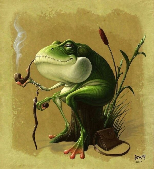 мудрый жаб - лягушка, жаба - оригинал