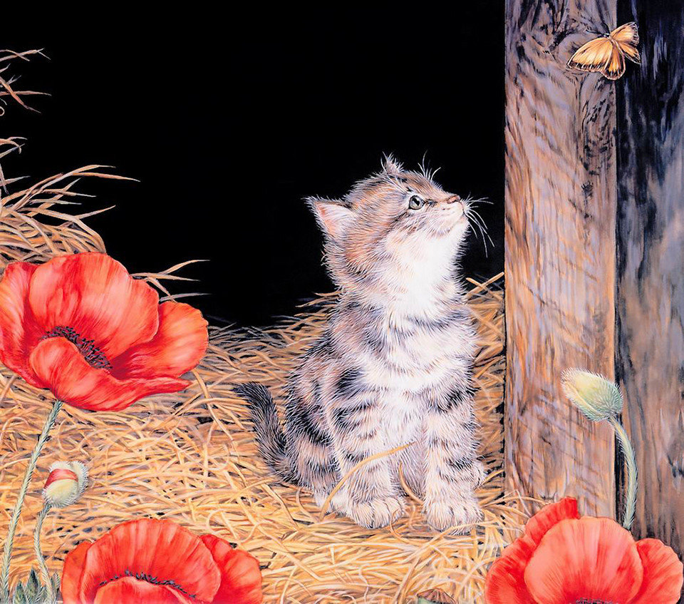 котик - оригинал