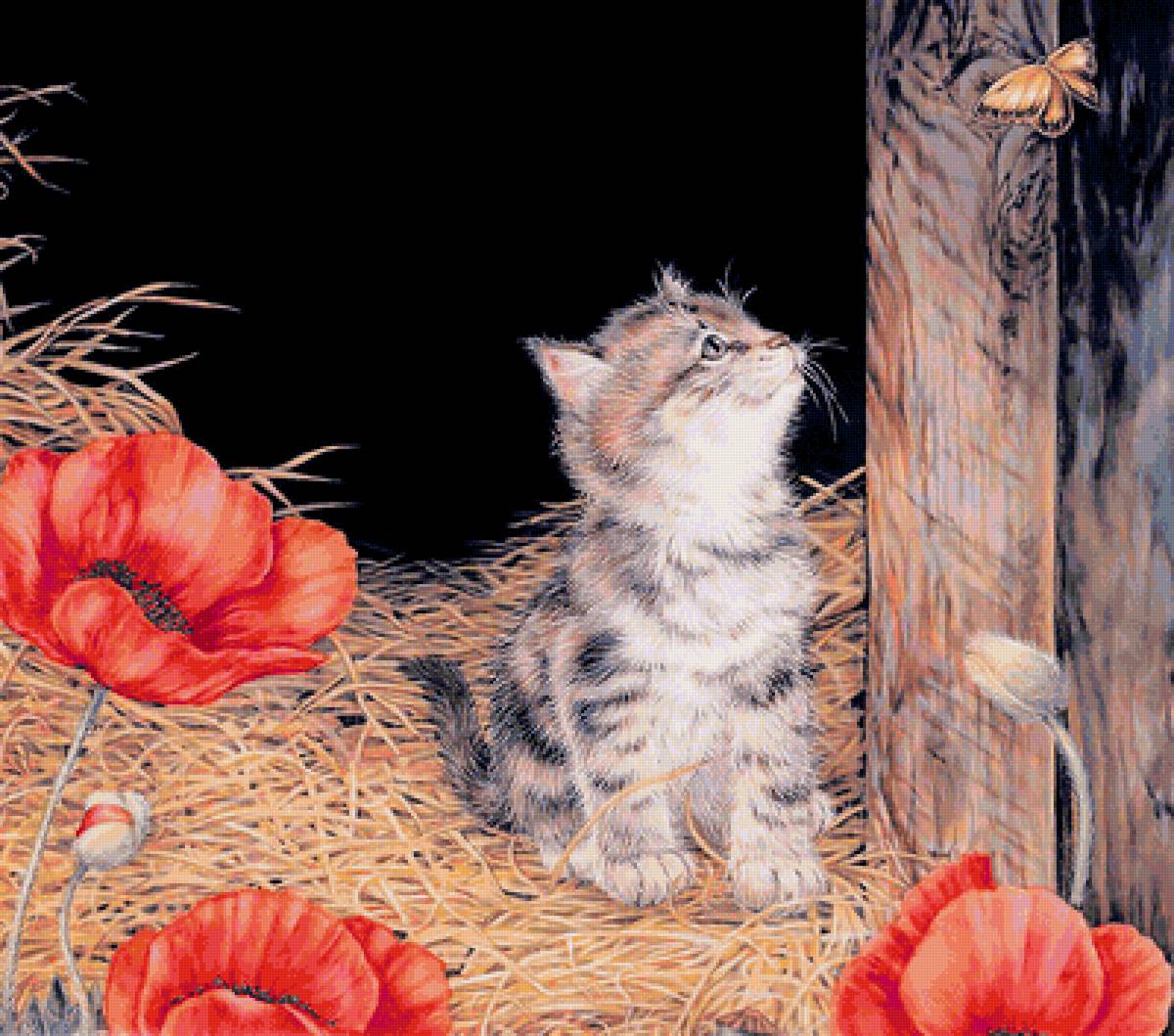 котик - предпросмотр