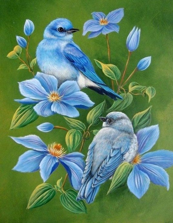 птицы - оригинал