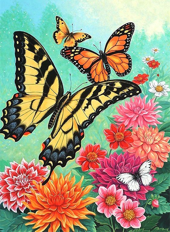 бабочки - мир животных - оригинал