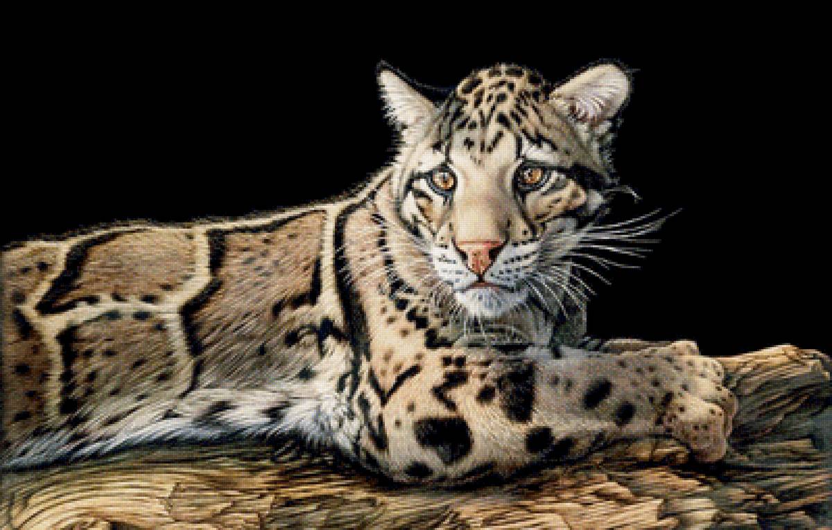 №1833587 - предпросмотр