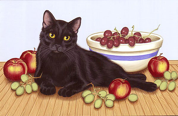Котик - кошки, виноград, фрукты, яблоки - оригинал