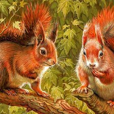 Схема вышивки «билка»