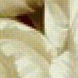 Предпросмотр схемы вышивки «белые тюльпаны» (№1834172)