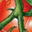 Предпросмотр схемы вышивки «томаты» (№1834173)