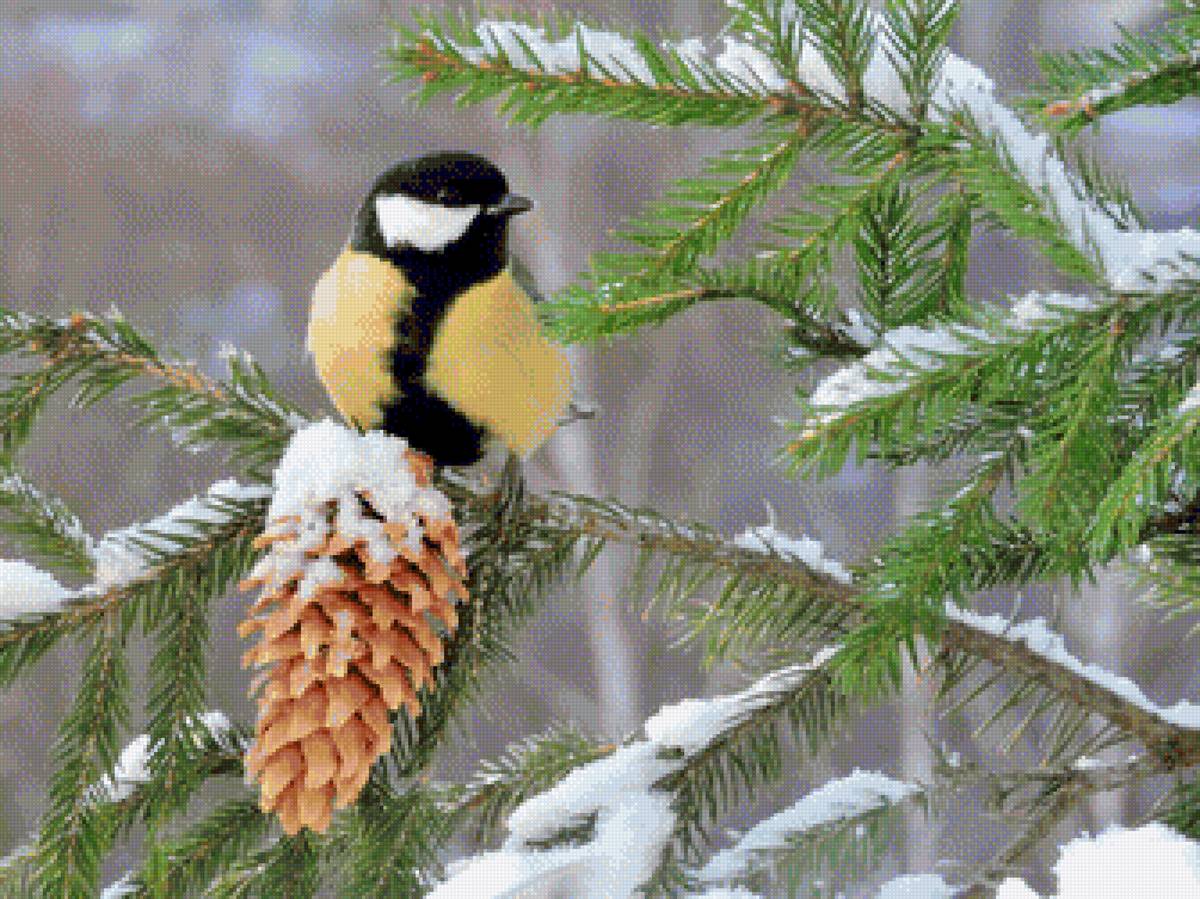 Синичка - предпросмотр