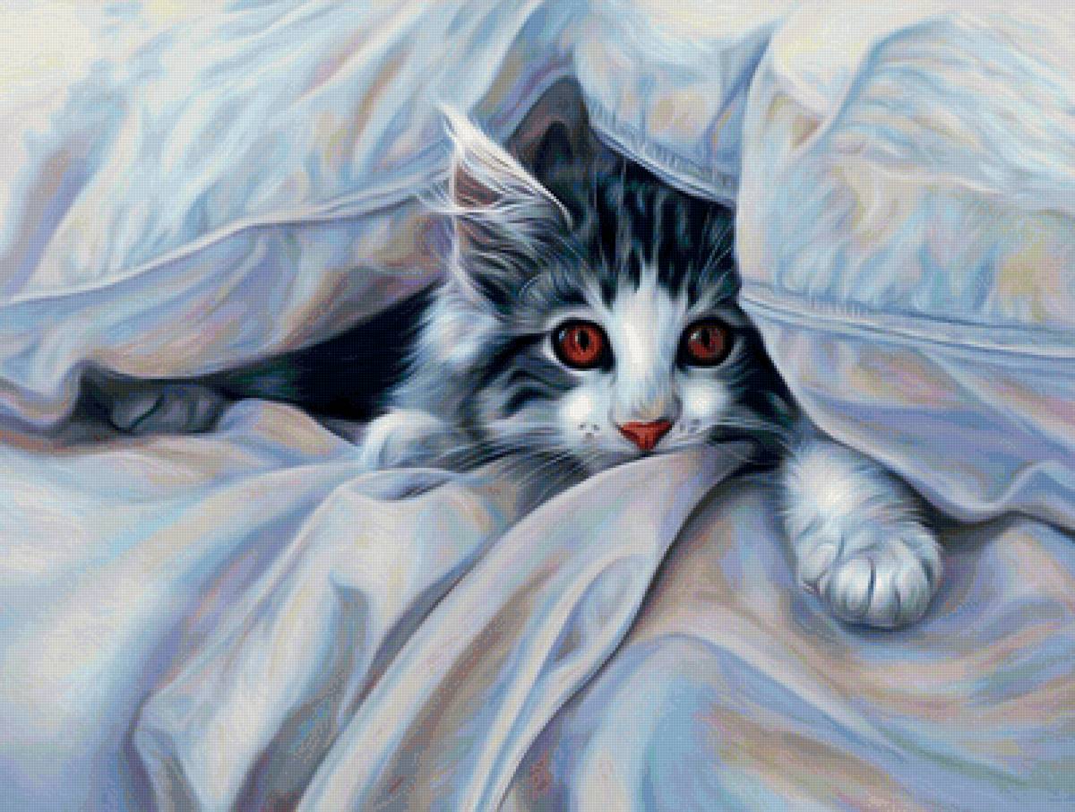 котик - предпросмотр