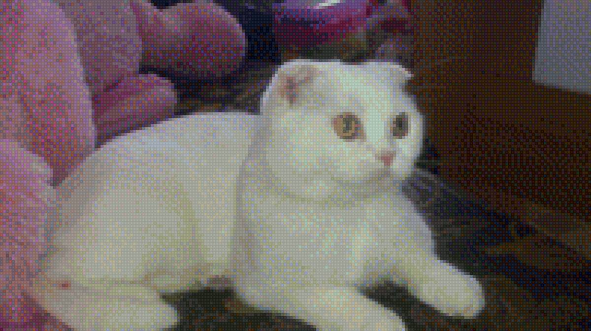 Светка - предпросмотр