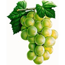 Схема вышивки «виноград»