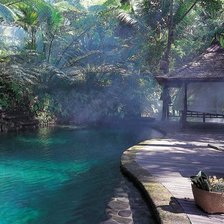 Схема вышивки «дом в джунглях»