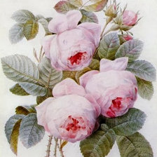 Оригинал схемы вышивки «розы» (№1835464)