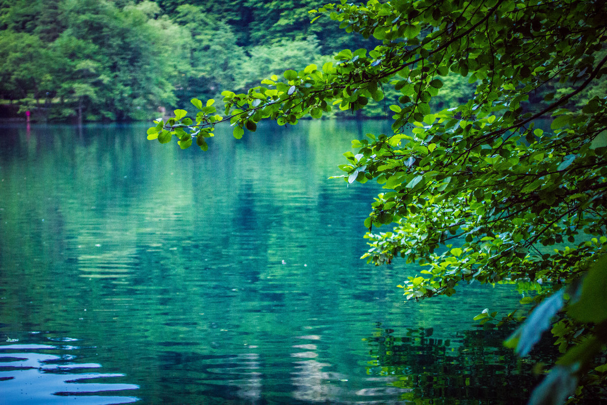 озеро - озеро, пейзаж - оригинал