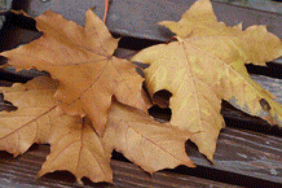 листья на скамейке - осень, кленовые листья, воспоминания - предпросмотр