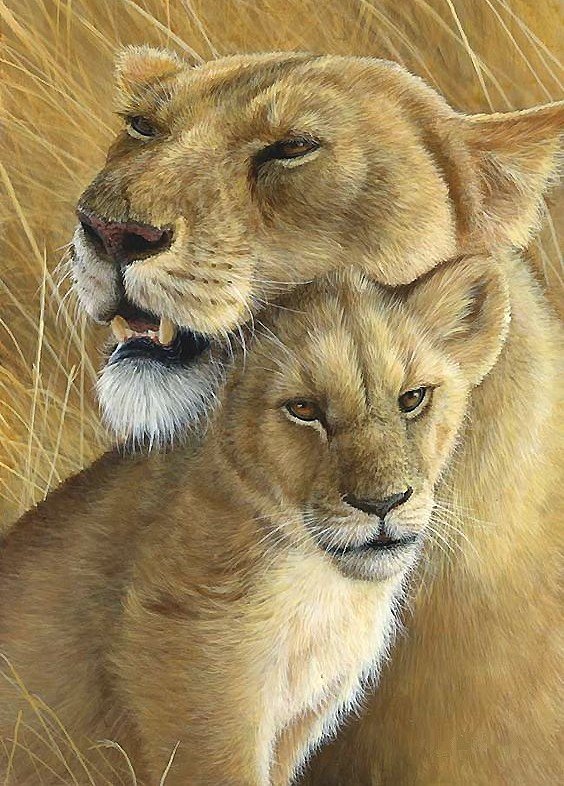 львы - оригинал