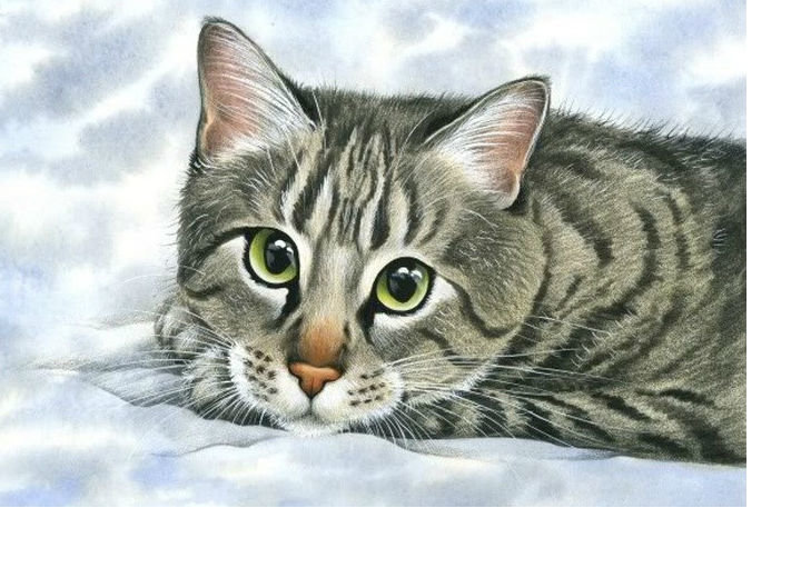 Котик - коты ирины гармашевой, кот - оригинал