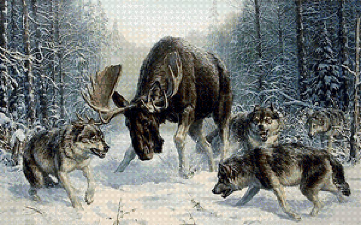 Охота стаи - предпросмотр