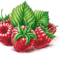 Схема вышивки «№1836984»