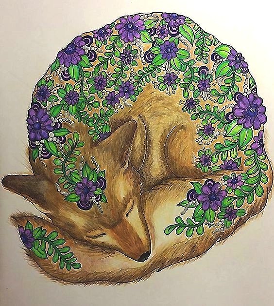 рисунок - оригинал