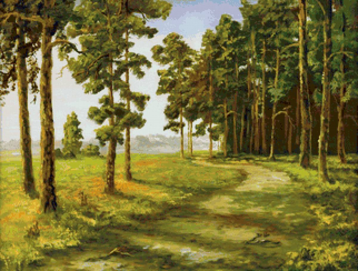 Дорога на краю леса - лес, природа, лето, дорога - предпросмотр