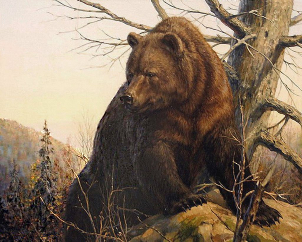 медведь - оригинал