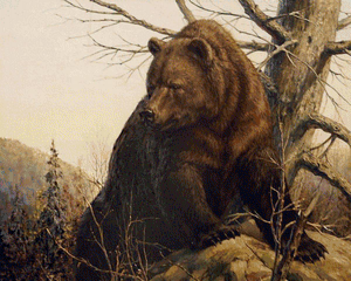 медведь - предпросмотр