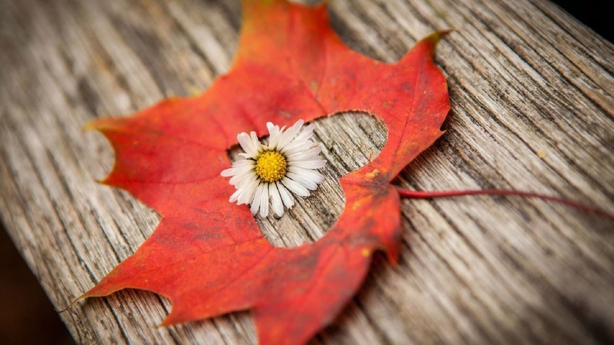 осень - осень - оригинал