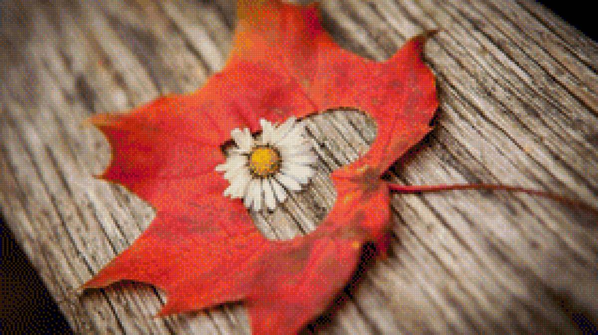 осень - осень - предпросмотр