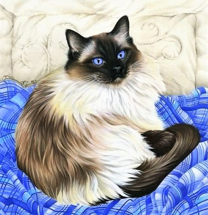 голубоглазый кот - кошки, картина, животные - оригинал