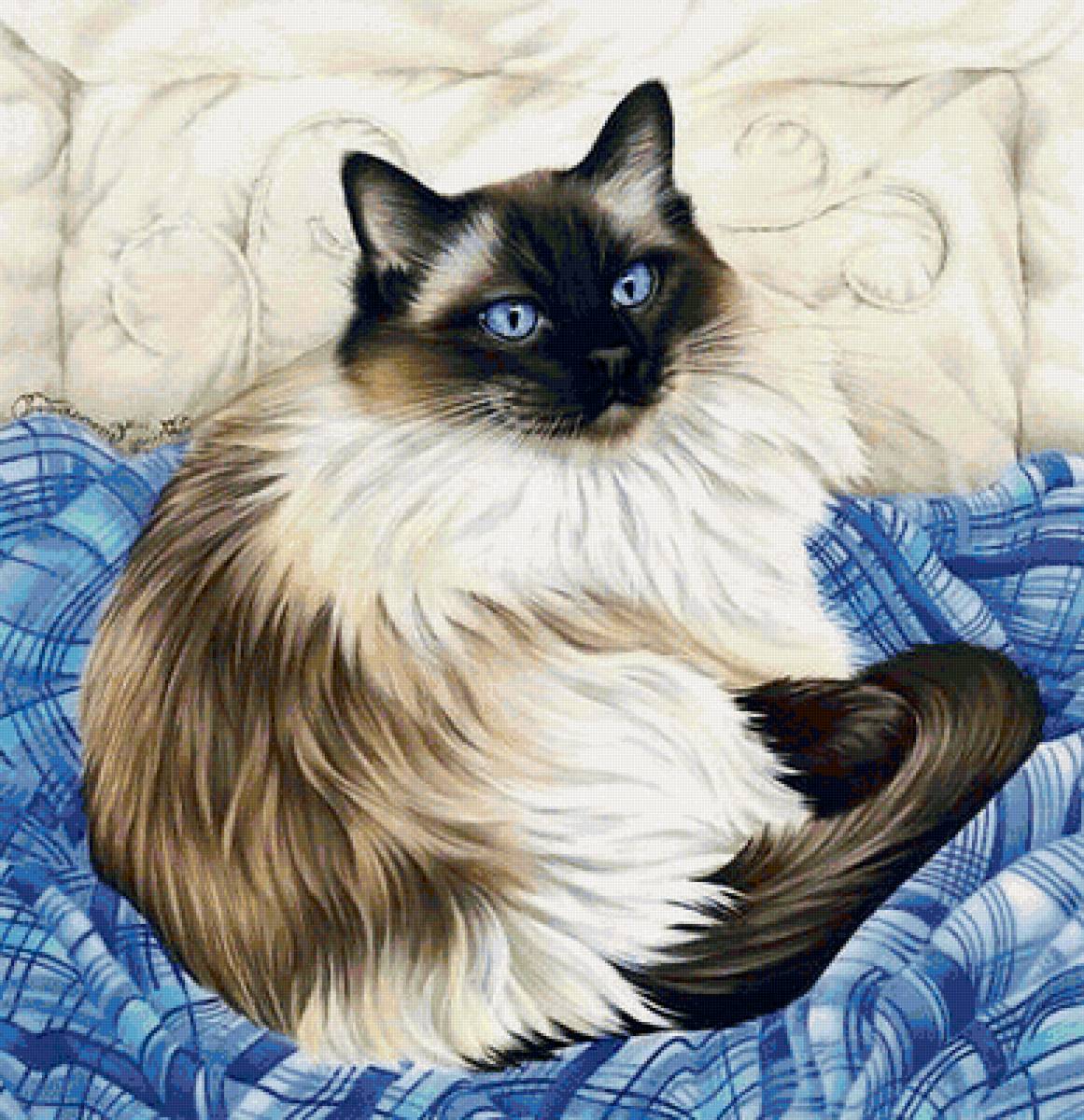 голубоглазый кот - животные, кошки, картина - предпросмотр