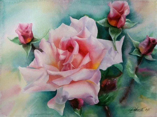 акварельная роза - роза, нежность, цветы - оригинал