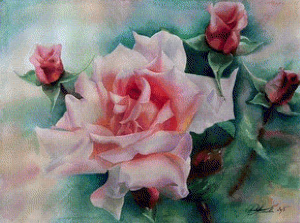 акварельная роза - нежность, цветы, роза - предпросмотр