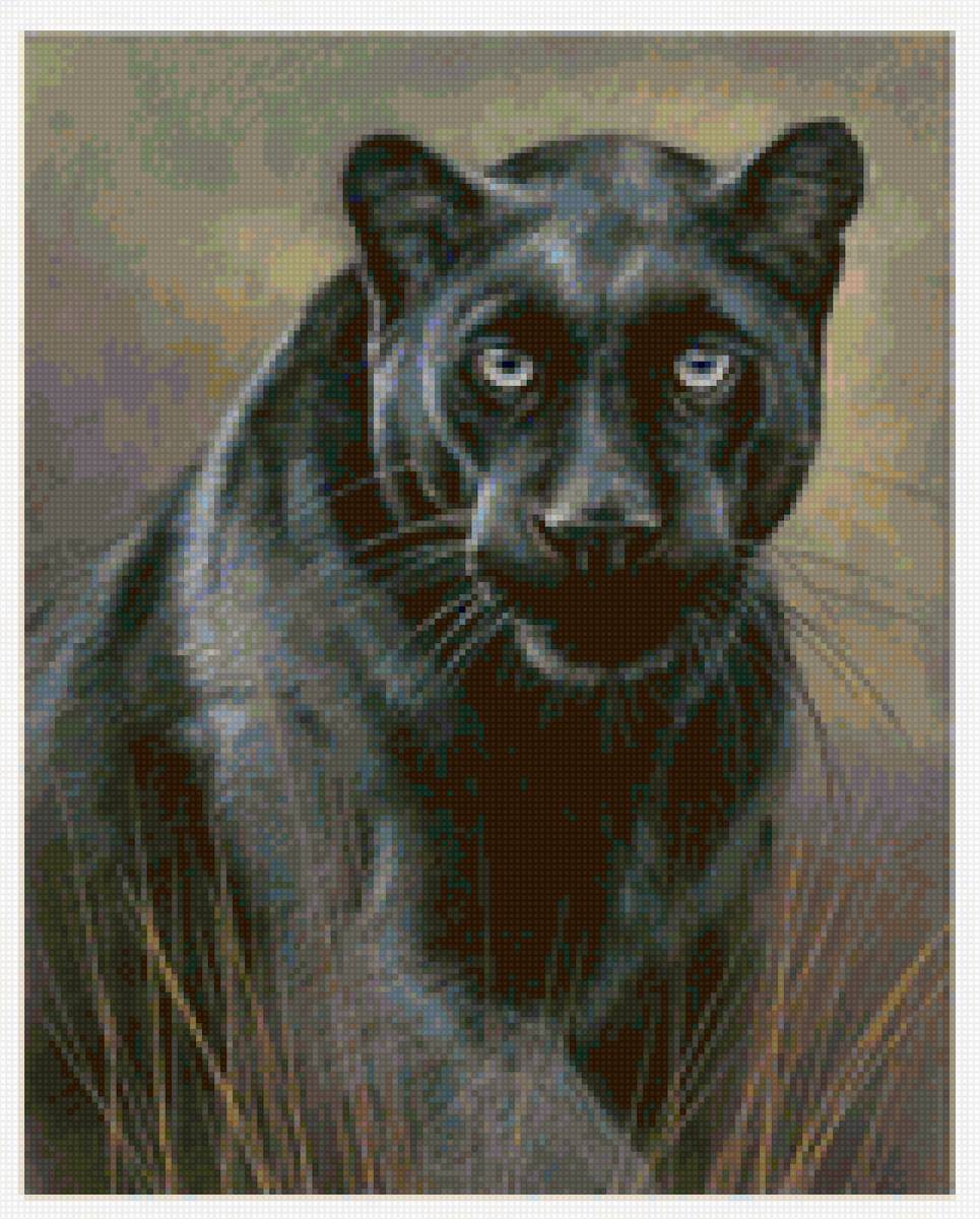 пантера - предпросмотр