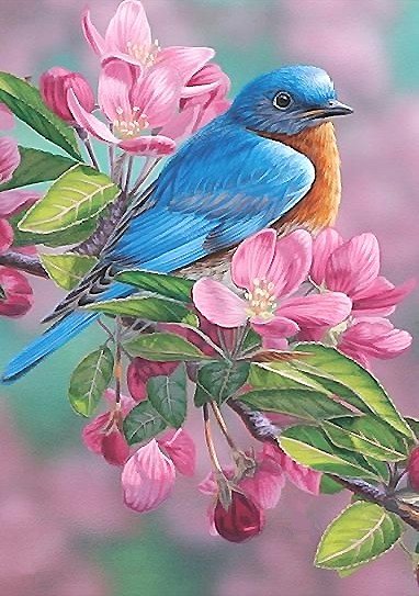 птица - мир животных - оригинал