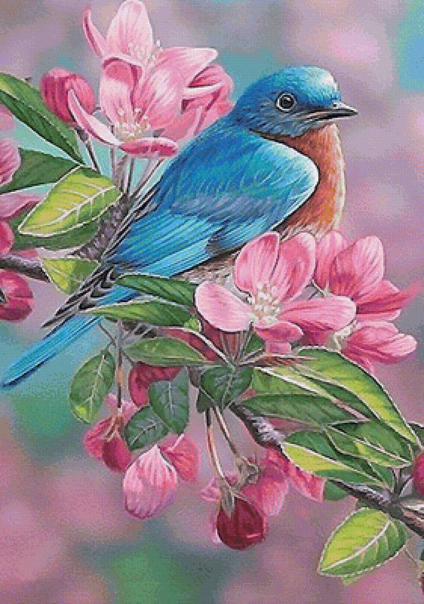 птица - мир животных - предпросмотр