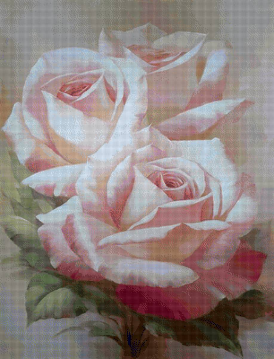 Нежные розы - цветы - предпросмотр