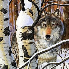 Схема вышивки «дикие»